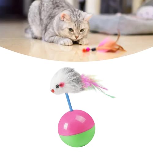 lvifloae Katze Maus Teaser Spielzeug mit Feder Wackelkopf Interaktives Ballspielzeug Rolling Chase Ball Interaktiv für Kätzchen Spielen Übung Unterhaltung Katzenspielzeug Indoor von lvifloae