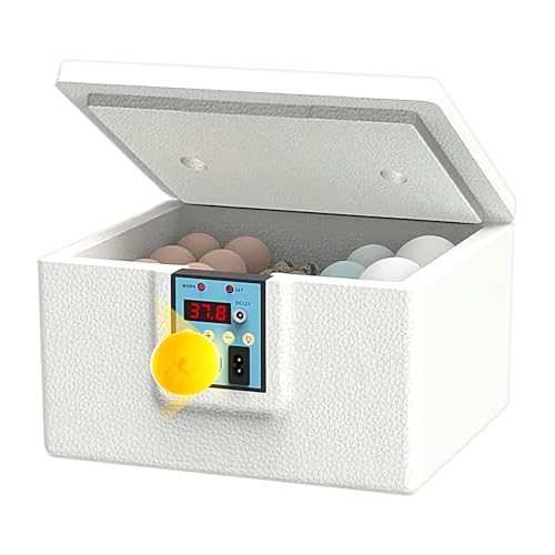 lyanny Eier Inkubator Box, Automatisches Brutgerät Mit Temperaturregelung, Tragbares Automatisches Brutgerät Für Kleinbauern Und Hobbyhalter lyanny Eier Inkubator Box, Automatisches Brutgerät Mit Temperaturregelung, Tragbares Automatisches Brutgerät Für Kleinbauern Und Hobbyhalter von lyanny