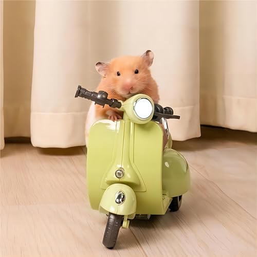 lygchii Hamster Motorrad Spielzeug, Haustier Ratte Spielzeug für Meerschweinchen Zwerg Syrische Hamster Mäuse Maus Rennmaus Ratte Kleintier,Kreative Kleintierspielzeug von lygchii