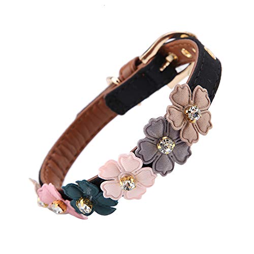 Sicherheitshalsbänder für Katzen, Verstellbare Hundehalsbänder für Kätzchen, mit Diamantblume, Schnallendesign, Hundefliege aus PU-Leder(1,3 * 34 cm-Schwarz) von lyrlody
