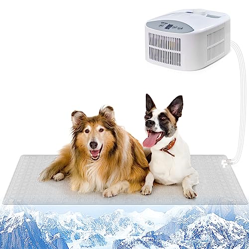 mCare Kühlmatte für Hunde, 63 x 27,6 Zoll Pet Cooling Pad für Extra Große Hunde, Wasserkühlmatte für Hunde und Katzen Betten von mCare