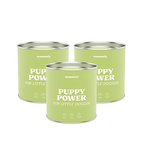 mammaly 13 in 1 Welpen Leckerlies (3X Sparpaket) - Puppy Power für Hunde - Mit Präbiotika, Grünlippmuschel und Vitamin E - Gesundes Wachstum und Nervenfunktionen - Unterstützt Training von mammaly