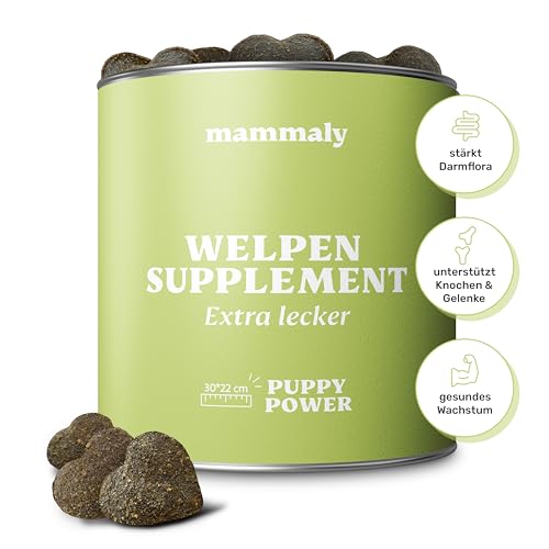 mammaly 13 in 1 Welpen Leckerlies Junge Hunde (325g) Puppy Power Snacks mit Präbiotika, Grünlippmuschel und Vitamin E - Gesundes Wachstum und Nervenfunktionen - Unterstützt Training von mammaly