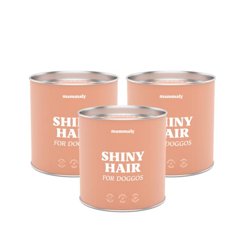 mammaly® für Hunde Shiny Hair Fellpflege Snack, leckere Alternative zu Bierhefe, Fellpflege Ergänzungsfuttermittel, Omega3, Biotin & Seealge gegen Haarausfall, schöneres Hundefell, ca. 270 Snacks von mammaly