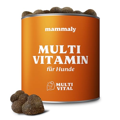 mammaly - 15 in 1 Multivitamin Komplex für Hunde - Multi Vital 325g 110 Leckerli - Omega 3, Vitamin B, C, A, D3, E Snacks - Leckerlies für Hund - Unterstützt Immunsystem, Vitalität, Gehirnfunktion von mammaly