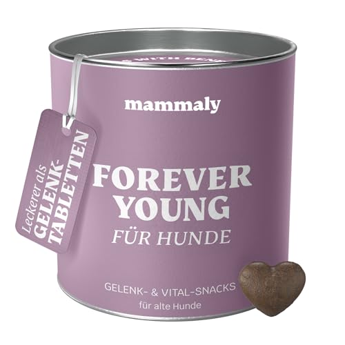 mammaly Forever Young Mineralien Vital-Komplex für alte Hunde Grünlippmuschel + Ginko + Kurkuma (325g) Senior Hund Gelenktabletten für Vitalität & Magen Darm mit Bierhefe & Probiotika von mammaly