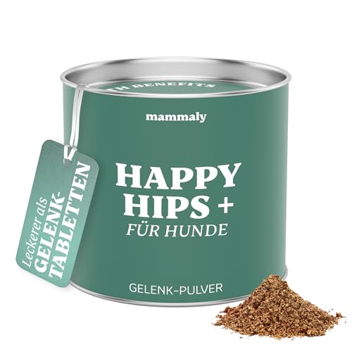 mammaly Happy HIPS Plus Gelenkpulver für Hunde mit Grünlippmuschel Hund, Pulver statt Gelenktabletten Hund, Unterstützt Knochen und Gelenke, msm Hund - 90g (1 x Dose) von mammaly