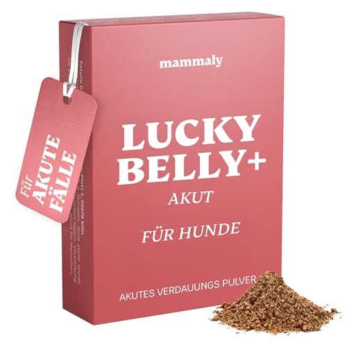 mammaly Lucky Belly Akut Durchfall Pulver für Hunde, Probiotika Hund, schnelle Hilfe bei starkem Durchfall Hund, für Allergiker geeignet und getreidefrei, Hund Darmflora aufbauen, Heilmoor (3er Pack) von mammaly