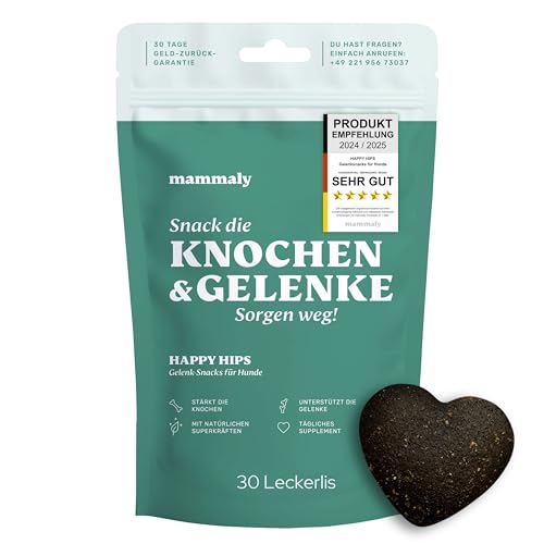 mammaly Grünlippmuschel Hunde Leckerli Happy HIPS Test Set (110g) Gelenktabletten mit Probiotika für Hunde (unterstützt Arthrose-, Gelenk- & Knochenschutz) Kapseln MSM & Vitamie als leckere Snacks von mammaly