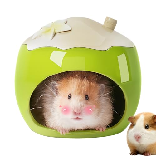 manhegari Hamster Haus Bett - Großes Keramik Hamsterhaus - Kühlversteck Habitat Für Eichhörnchen Igel Chinchilla Und Kleintiere manhegari Hamster Haus Bett - Großes Keramik Hamsterhaus - Kühlversteck Habitat Für Eichhörnchen Igel Chinchilla Und Kleintiere von manhegari