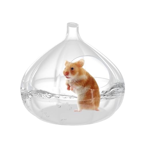 manhegari Hamster Sandbad Behälter | Transparenter Staubbad-Behälter In Knoblauchform,Kleintierhäuser & Lebensräume Zum Baden, Spielen, Verstecken Und Schlafen manhegari Hamster Sandbad Behälter | Transparenter Staubbad-Behälter In Knoblauchform,Kleintierhäuser & Lebensräume Zum Baden, Spielen, Verstecken Und Schlafen von manhegari