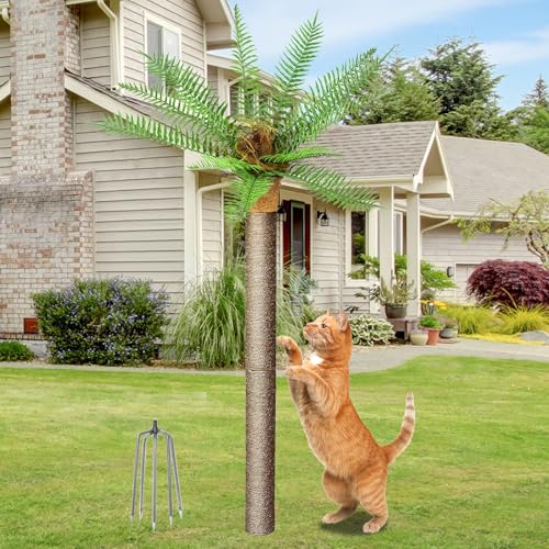MAOHEGOU 1,2m Outdoor Wetterfeste Künstliche Palme mit Natursisal Kratzstämmen für Katzen von maohegou