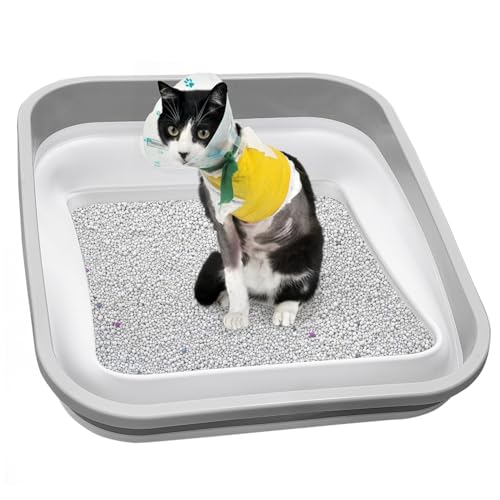 Maohegou Katzentoilette für ältere Katzen, dreibeinig, arthritisch, offener niedriger Einstieg für kranke, gebrechliche behinderte Katzen, ältere ältere Menschen (eine Packung) von maohegou