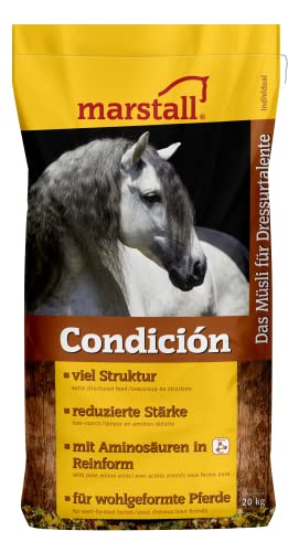 marstall Premium-Pferdefutter Condicion, 1er Pack (1 x 20 kilograms) von marstall Premium-Pferdefutter