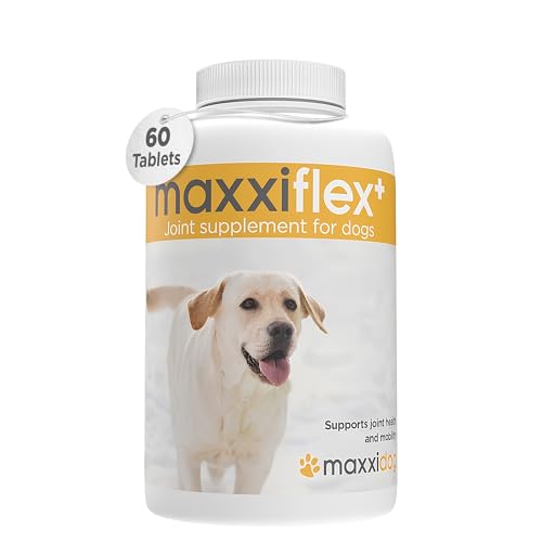 maxxiflex+ Gelenktabletten für Hunde – Teufelskralle, MSM, Glucosamin, Hyaluronsäure, Chondroitin, Bromelain, Kurkuma – 60 Stück von maxxipaws