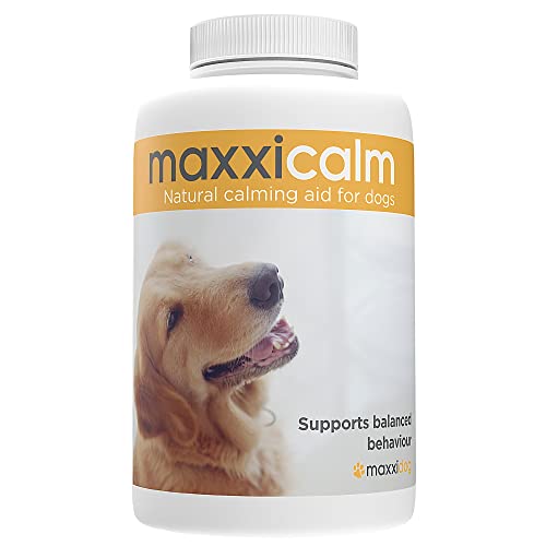 maxxipaws maxxicalm Natürliches Beruhigungsmittel für Hunde - 60 Tabletten ohne Müdigkeitseffekt von maxxipaws