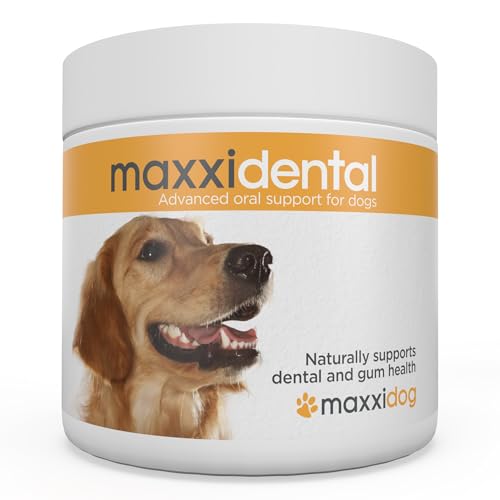 maxxipaws maxxidental Zahnfleisch & Zahnpflege für Hunde - Fortgeschrittene Nahrungsergänzung in Pulverform, 140g von maxxipaws