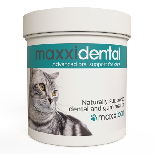 maxxipaws maxxidental Zahnfleisch & Zahnpflege für Katzen - Fortgeschrittene Nahrungsergänzung in Pulverform, 90g von maxxipaws