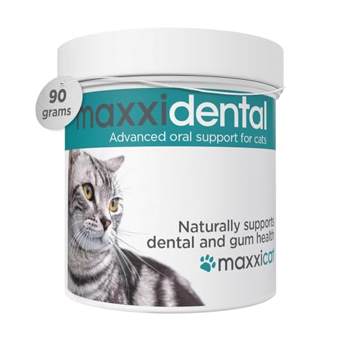 maxxipaws maxxidental Zahnfleisch & Zahnpflege für Katzen - Fortgeschrittene Nahrungsergänzung in Pulverform, 90g von maxxipaws