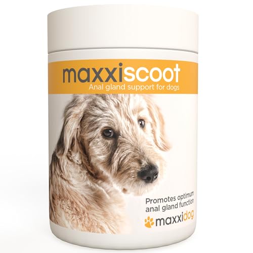 maxxipaws maxxiscoot Analdrüse & Darmgesundheit für Hunde - Nahrungsergänzungsmittel in Pulverform, 140g von maxxipaws