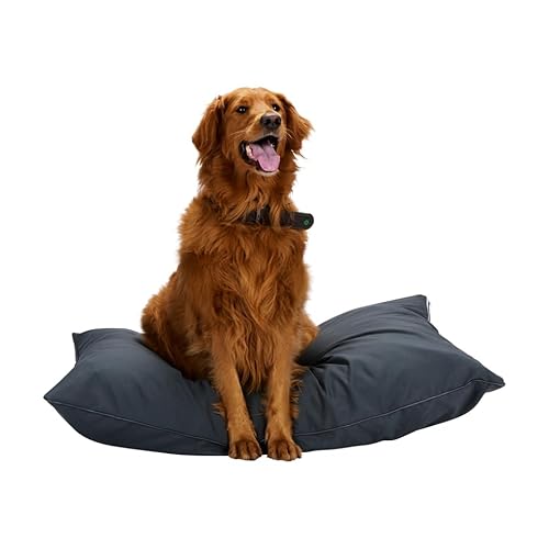 maxxpro Hundebett - Hundekissen 70 x 100 cm - Hundebett Grosse Hunde - Hundedecke mit Reißverschluss - Polyester und Mikrofaser - Anthrazit von maxxpro