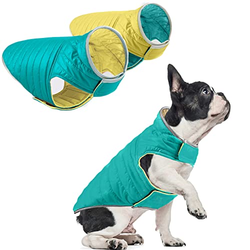 meioro Hundemantel Wendbarer Hundejacke Wasserdicht Winddichte Hunde Wintermantel Reflektierende Hundepullover Warme Winterjacken Leichte Hundekleidung Geeignet für Outdoor-Aktivitäten (XL, Cyan+Gelb) von meioro