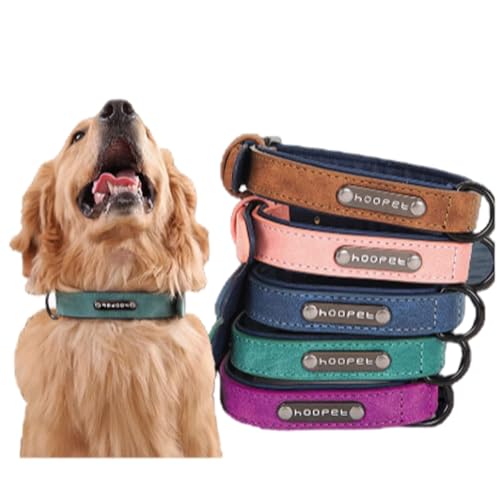 Personalisiertes Hundehalsband Aus Leder, Individuell Gepolsterte Hundehalsbänder, Verstellbare Haustierhalsbänder, Individuelles Hundehalsband Mit Namen(L) von miguha