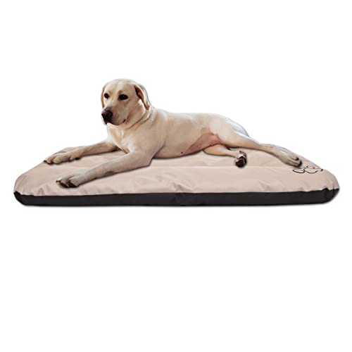 millybo ECO Hundematratze, Hundebett für Kleine, Mittlere, Große Hunde - wetterfestes Hundekissen, kuscheliges Schaum Tierbett, Outdoor & Robustes Hundematte - 100x70x8 cm Beige von millybo