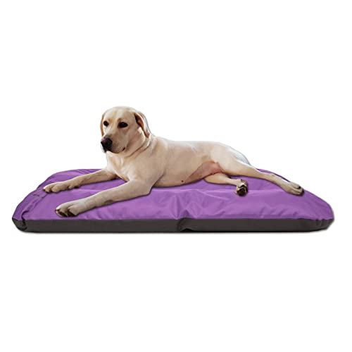 millybo ECO Hundematratze, Hundebett für Kleine, Mittlere, Große Hunde - wetterfestes Hundekissen, kuscheliges Schaum Tierbett, Outdoor & Robustes Hundematte - 100x70x8 cm Lila von millybo