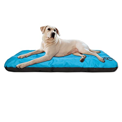 millybo ECO Hundematratze, Hundebett für Kleine, Mittlere, Große Hunde - wetterfestes Hundekissen, kuscheliges Schaum Tierbett, Outdoor & Robustes Hundematte - 115x80x12 cm Blau von millybo