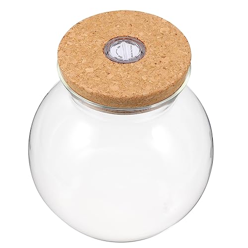 Landschaftsflasche Glasglocke Glocke Glas Fisch Ökologische Flasche LED Glasflasche Luftpflanze Vase Mini Maurer Aquarium Kit Transparent Fischflasche weiß Holz kleines Terrarium 3D von minkissy