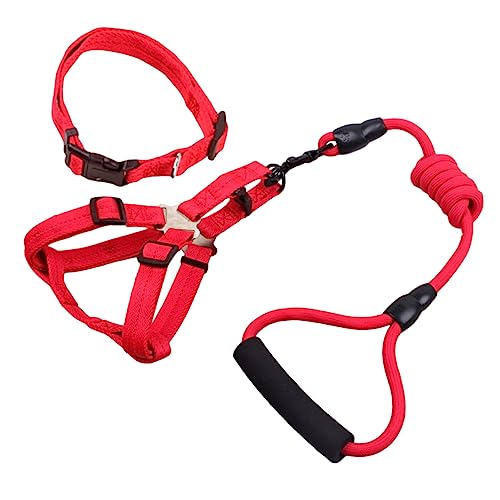 Set Gürtel Hundegeschirr und Leine Halsband Haustier von minkissy