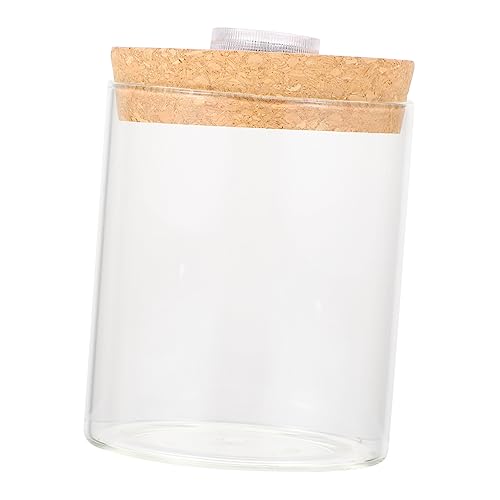 minkissy 1stk Landschaftsflasche Glas Anlage Terrarium Mini Aquarium Tank Schreibtisch Tank Display Dome Tabletop Pflanzer Box Glasflasche Hölzerne Abdeckung Holz Weiß von minkissy