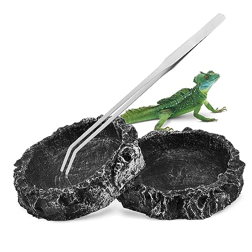 minkissy 2 Pcs Food bowl reptile rock feeder reptile feeders bearded dragon toys reptile water bowl reptile water dish reptile water dispenser echse snake Synthetic resin tortoise von minkissy