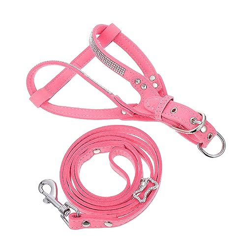 minkissy 2 Sets Haustiergeschirr Katze Walking Leine Strass Geschirr verstellbar Haustier kein Ziehen Hundegeschirr Haustier Training Leine Training Traktion Seil Katze Geschirr Mikrofaser Sommer Hund von minkissy