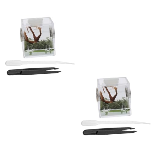 minkissy 2 Sets Springspinnen Zuchtbox Acryl Tank Springspinne Gehege Spinnenkäfig Reptilien Terrarium Spinnen Lebensraum Glas Terrarium Reptiliengehege zum Füttern von Zuchtkäfig von minkissy