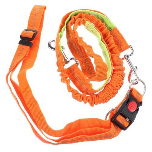 minkissy 2 stücke Haustier Leine Haustier Laufen Leine Bungee Sport Leine Gym Gürtel Bungee Hund Laufen Hund Gurt Petg Haustier Schleppen Kabel Hund Ziehen Seil Haustier Bungee Leine Schärpen von minkissy