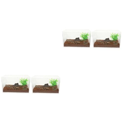 minkissy 2 stücke Transparent Terrarium Springspinnen Gehäuse Glas Container Tarantel Gehege Schildkröte Ei Inkubator Glas Tiere Reptilien Tank Reptilien Terrarium Acryl Paddock Gecko von minkissy