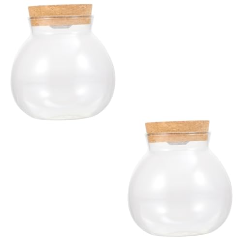 minkissy 2st Landschaftsflasche Terrarienglas Mit Deckel Glasterrarien Für Pflanzen Große Terrarienbehälter Ökosphäre Hochzeit Weiß Aquarienfische Glas Mit Hohem Borosilikatgehalt von minkissy