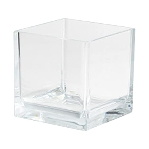 minkissy 2St Mini-Aquarium Multifunktions-Betta-Tank Kleiner Plastikbehälter 10-Gallonen-Aquarium Fischversorgung Aquariumbecken Glas Container Halterung Betta-Panzer Betta Fisch STK von minkissy