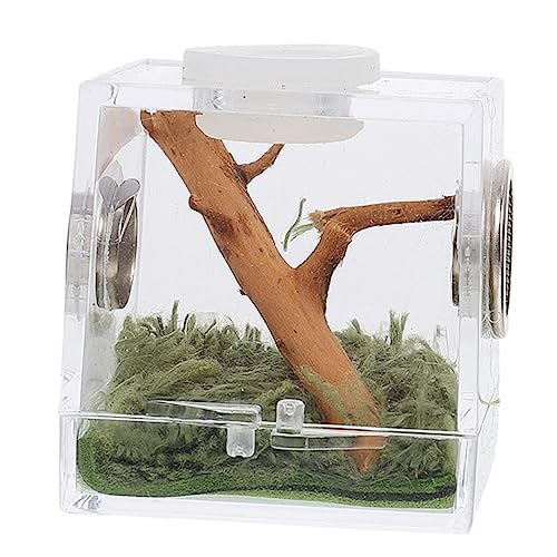 minkissy 2er-Box Springspinnen-zuchtbox Terrariennebler Terrarienbecken Terrarium Glasbehälter Terrarienbehälter Insektenlebensraum Fall Futterkasten Für Spinnen Acryl Reptil Haustier von minkissy