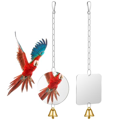 minkissy 2pcs Kleine Vogel Spielzeug Vogelkäfig Spielzeug Kreis Spiegel Vogel Spielzeug für Käfig Runde Spiegel Runde Schaukel Vogel Schaukeln für Kleine Vögel Spiegel Spielzeug für Vogel Papagei von minkissy