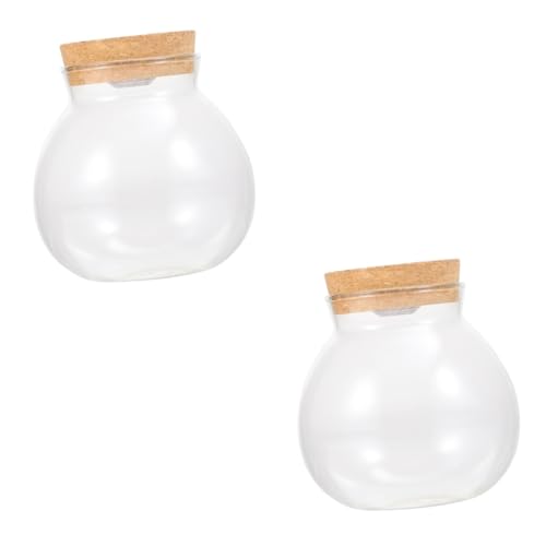 minkissy 2pcs Landschaft Flasche Einfache Pflanze Terrarium Glasflaschen mit Korken kleine Gläser mit kleinen Fischschale Süßigkeiten Schüssel großes Sieb Fisch Flasche Holz Zylindrische kleine von minkissy