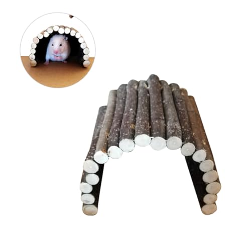 minkissy 2st Spielzeug AST Unterstand Pet-Tunnel-bogenbrücke Goldener Bär Protokoll Hamster von minkissy