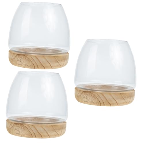 minkissy 3 Sets transparentes Glas Aquarium Glas Pflanzgefäß Glas Luft-Pflanzgefäß Globus Pflanzen Behälter Glas Hydrokultur Pflanzgefäß Aquarium mit Ständer Klarglas Vasen Holz Terrarium Desktop von minkissy