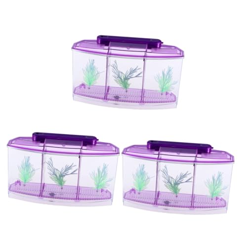 minkissy Mini-Aquarium 3st Aquarium Goldfischbecken Violett Klein Braten Büro Goldfischglas von minkissy