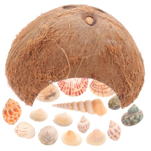 minkissy 4 Sets Klettern Haustier Kokosnussschale Haus Fisch Versteckhöhle Spielzeug Tiere Betta Fischhöhle Versteck Unterwasser Versteck Reptilien Laichhaus Unterwasser Fischhöhle Holz kriechen von minkissy