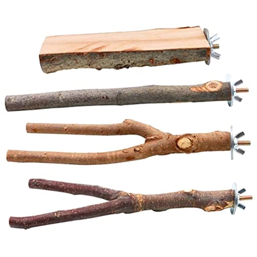 minkissy 4 stücke Plattform Baum Zweig Ständer Bar Papagei Barsch Papagei Ständer Sittich Holz Spielset Vogelkäfig Zubehör Vogel Barsch Vogel Kralle Schleifen Stick Vogelkäfig Rod Spielzeug minkissy 4 stücke Plattform Baum Zweig Ständer Bar Papagei Barsch Papagei Ständer Sittich Holz Spielset Vogelkäfig Zubehör Vogel Barsch Vogel Kralle Schleifen Stick Vogelkäfig Rod Spielzeug von minkissy
