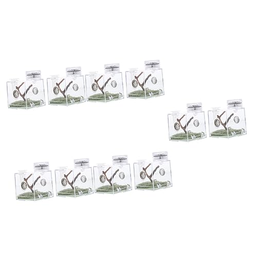 minkissy 5pcs Box Springspinne Zucht Box Spinne Terrarium Spinne Lebensraum Käfig Schnecke Habitat Reptilien Terrarien Tierzaun Haustier Zaun Spider Carrier Holz Florida Aquarium Kleine Spinne von minkissy