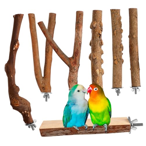 minkissy 7 STK Pfahl aus Pfefferholz Vogelkäfig-Plattform Spielzeug für Vogelkäfige Zubehör für Aquarien Spielset aus Holz Stangenhalter aus Holz Plattform für Vogelstangen Wellensittich von minkissy